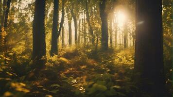 Autumn colorful tree alley in the park on a sunny day in Krakow, Poland Mysterious road. Fairy Mysterious Forest. Mystical atmosphere. Paranormal another world. AI-Generated photo