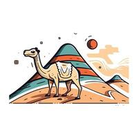 Camel in the desert. Vector illustration in thin line style.