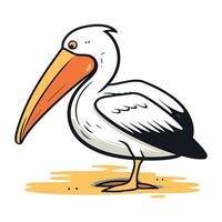 Pelican vector illustration. Cartoon pelican isolated on white background.