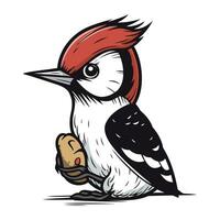 Vector image of a woodpecker on a white background. Hand drawn illustration.