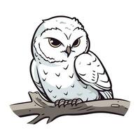 Owl sitting on a branch isolated on white background. Vector illustration.