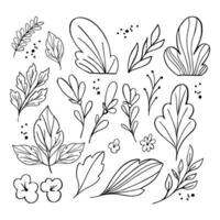 Hand drawn autumn leaves. Set of hand drawn doodle vector