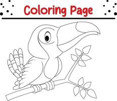 tucán colorante página. pájaro colorante libro para niños vector