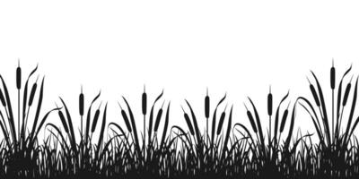 Black silhouette of border with marsh vegetation. Reeds in sedge thickets. Tall river grass vector