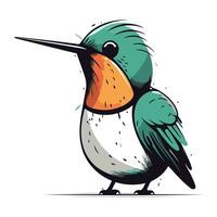 colibrí vector ilustración. aislado en un blanco antecedentes.