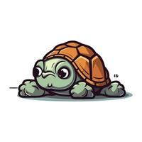 linda dibujos animados tortuga. vector ilustración aislado en un blanco antecedentes.