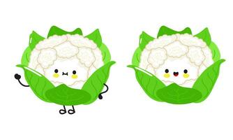 Cute funny Cauliflower character. Vector hand drawn cartoon kawaii character illustration icon. Isolated on white background. Happy Cauliflower character concept