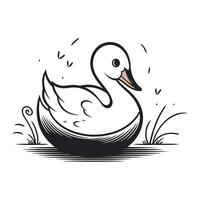 Vector illustration of a swan swimming in a pond. Isolated on white background.