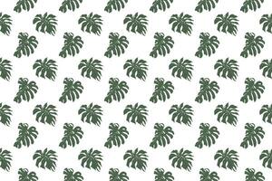 Monstella leave with flower as seamless pattern background vector