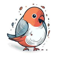 Vector illustration of a cute little bullfinch on a white background