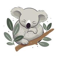 Cute koala sleeping on eucalyptus branch. Vector illustration.