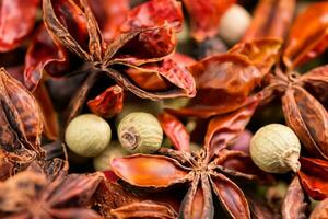 especia reino encantador rempah es un cautivador colección ese transportes usted a un mundo de aromático especias y exótico sabores foto