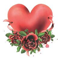 Big red heart with roses, leaves and satin ribbons. Watercolor illustration. Isolated composition on a white background for Valentine's Day vector