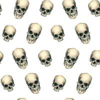 Human skulls. Hand drawn watercolor illustration. Seamless pattern, simple on a white background vector