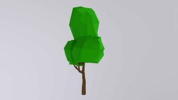 low poly tree 3d model video
