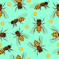 Bee and honeycomb seamless pattern repeat in flat style. Spring green background. Vector