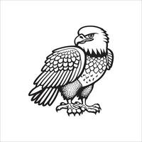 Cute cartoon eagle. Coloring page with funny eagle. Vector animal line illustration