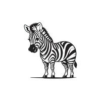 Zebra vector illustration of kids alphabet coloring book page with outlined clip art to color