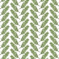 New Year's symbols - branches of Christmas tree, pine, cedar. Elegant seamless pattern with evergreens on white background. Great for Christmas wrapping paper, packaging, textile. Festive concept. vector