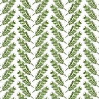 New Year's symbols - branches of Christmas tree, pine, cedar. Elegant seamless pattern with evergreens on white background. Great for Christmas wrapping paper, packaging, textile. Festive concept. vector