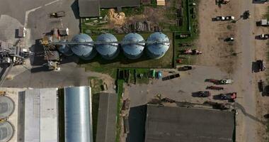 antenne panoramisch visie Aan agro-industrieel complex met silo's en graan drogen lijn voor drogen schoonmaak en opslagruimte van ontbijtgranen gewassen video