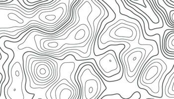 White background with topographic wavy pattern. Abstract pattern with lines vector