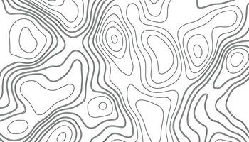 abstract pattern with lines. Background of the topographic map vector