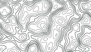 Background of topographic line contour map. Geographic grid map with space for copy. Topographic Cartography. Topographic relief. Linear graphics. Topography and geography map grid vector