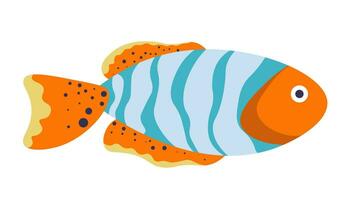 ocellaris pez payaso, marina exótico pescado vector