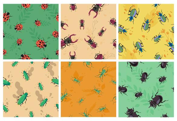 Decorative patter set with little bug, plants decor