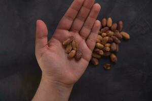 Female hand showing a few roasted peanuts over dark background and copy space. Healthy food. photo