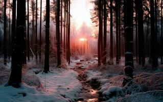 Sunset in the woods during winter. AI Generative photo