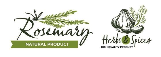 Rosemary natural product, high quality spices vector