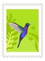 Colibri bird and tropical vegetation postmark vector