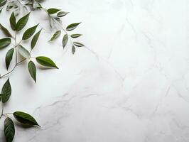 Abstract white marble tabletop with plant and copy space background, product montage,AI Generated photo