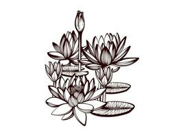 Vector a pink lotus flower with a crown on it