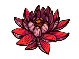Vector a pink lotus flower with a crown on it