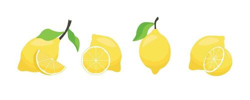 Set with lemons in different types, whole lemon, half lemon, lemon wedge in flat style on white background. Vector illustration