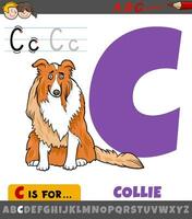 letter C from alphabet with cartoon collie purebred dog vector