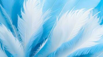 abstract soft focus background with a gentle blue color palette, emphasizing the softness and delicacy of bird feathers photo