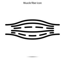 Muscle fiber icon vector