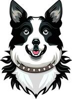 Border collie dog wearing a wolf collar flat style vector illustration, Sheep dog, Shepherd farm dog with a wolf spike collar stock vector image