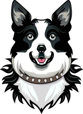Border collie dog wearing a wolf collar flat style vector illustration, Sheep dog, Shepherd farm dog with a wolf spike collar stock vector image