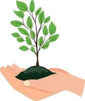 human hand holding dirt and a green tree plant trees vector illustration, human hand with plant and soil flat style stock vector image