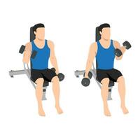 Man doing seated alternating bicep twist curl exercise. vector