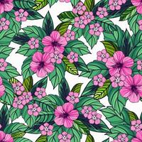 seamless pattern with pink hibiscus flowers and green leaves vector