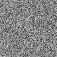 a black and white image of a square white noise texture vector