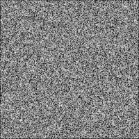 a black and white image of a square white noise texture vector