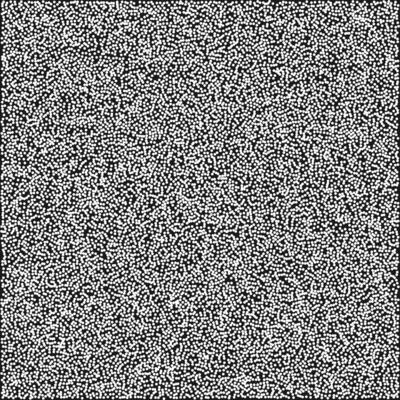 a black and white image of a square white noise texture