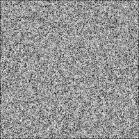 a black and white image of a square white noise texture vector